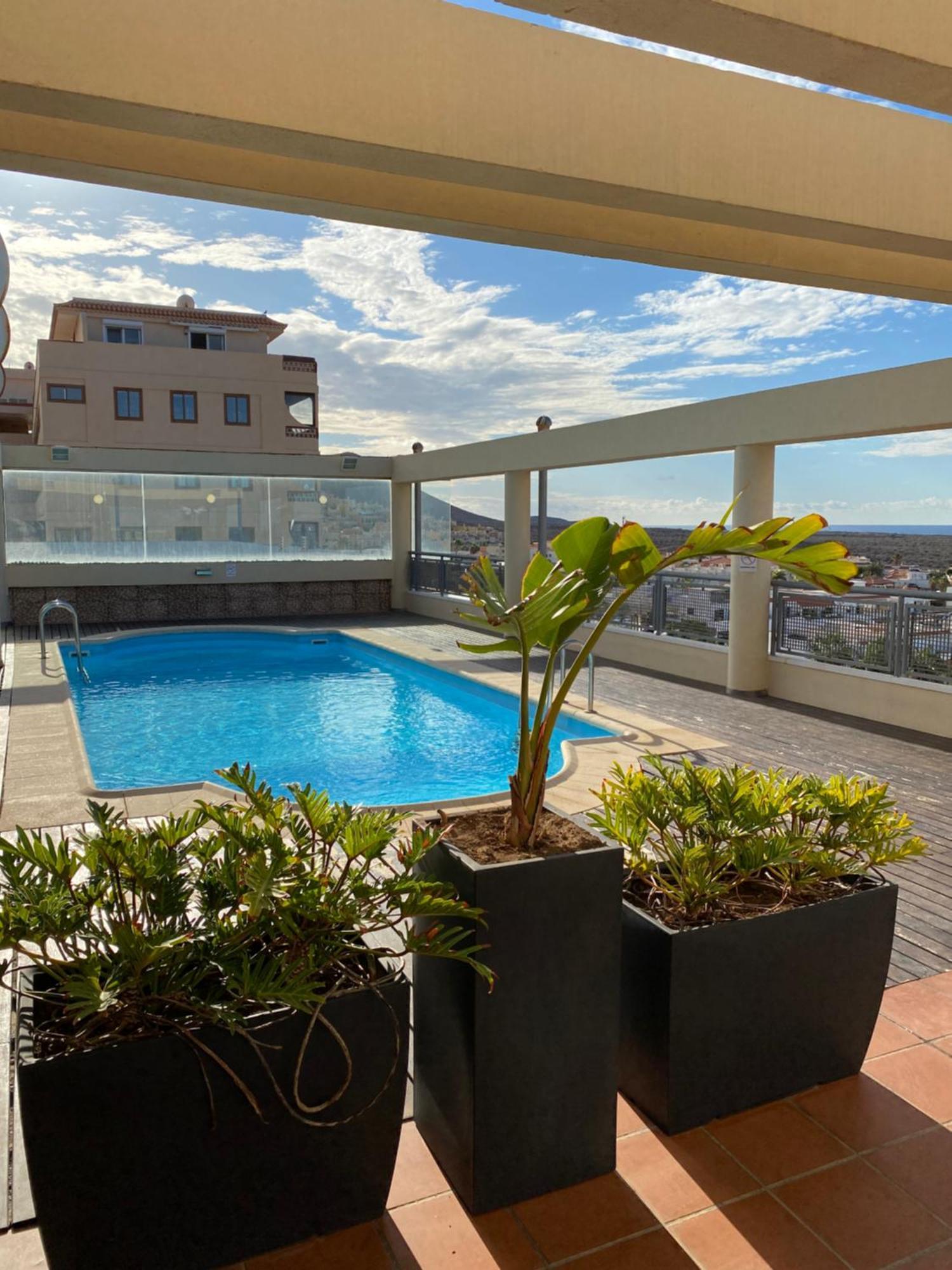 La Arenita - Oceanview Apartment بالم مار المظهر الخارجي الصورة